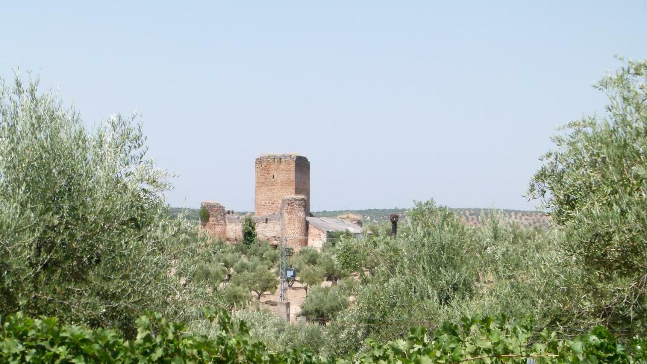 منزل الضيف مارموليخو  في La Aragonesa المظهر الخارجي الصورة